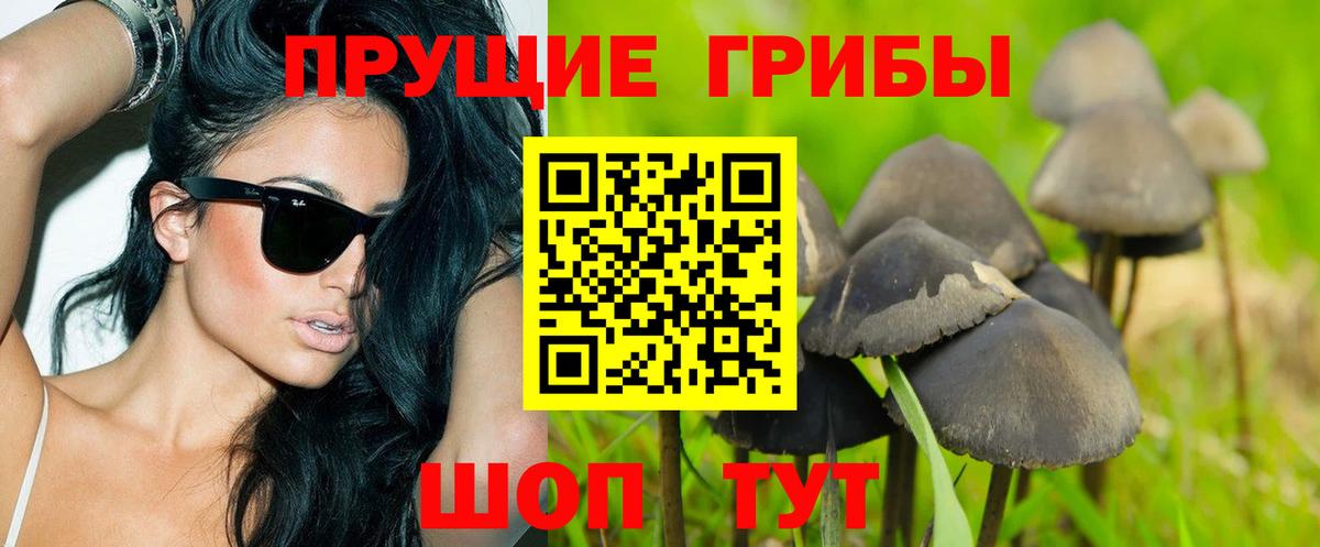 Псилоцибиновые грибы MAGIC MUSHROOMS Северобайкальск