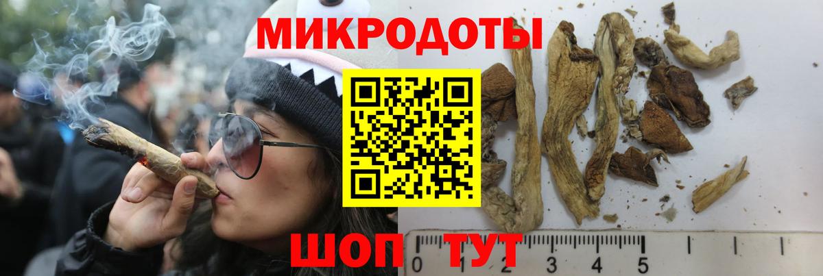 Псилоцибиновые грибы Psilocybine cubensis  Вход с VPN  Северобайкальск 